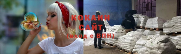 сатива Абаза