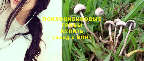 экстази Алзамай