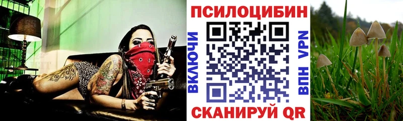 цены наркотик  Ступино  ОМГ ОМГ зеркало  Галлюциногенные грибы GOLDEN TEACHER 