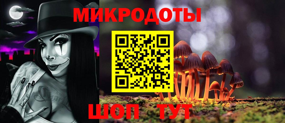 Галлюциногенные грибы Psilocybe Ступино